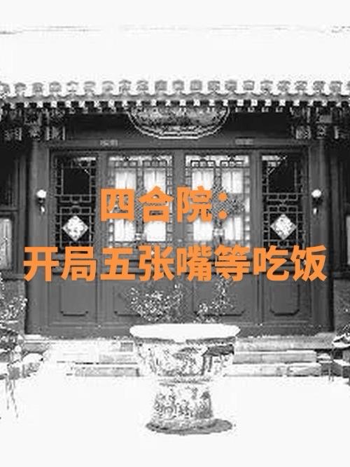 四合院:开局神级选择